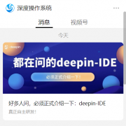 深度操作系统自研 deepin-IDE 开发工具首次亮相：代